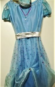 Kids Costumes to Hire - Blue Princess Dress & hat